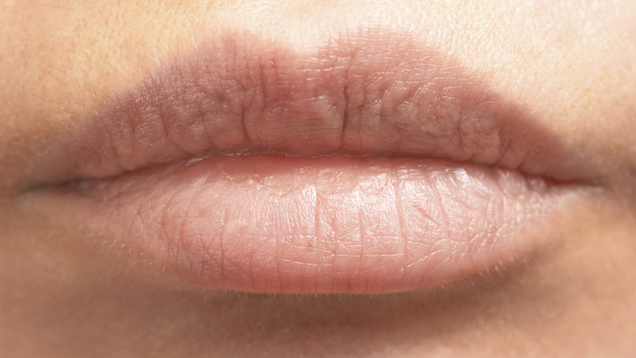 Illustration for article titled Lips.